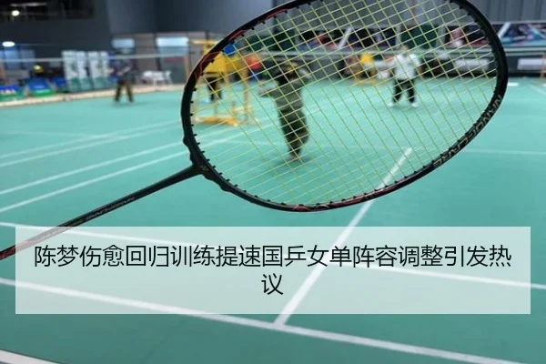 陈梦伤愈回归训练提速国乒女单阵容调整引发热议