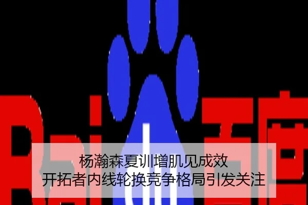 杨瀚森夏训增肌见成效 开拓者内线轮换竞争格局引发关注